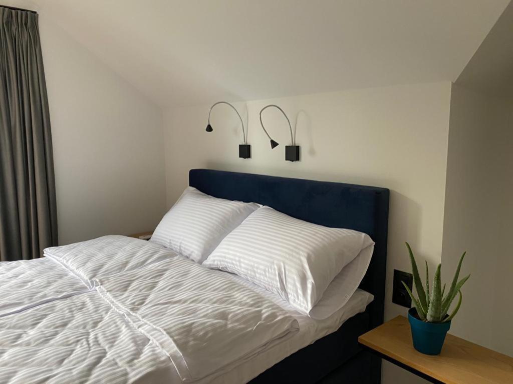 Manca Loft & Spa Mechelinki Exteriér fotografie